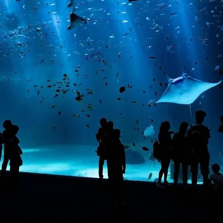 57m2 Vue Sur - Apartment *